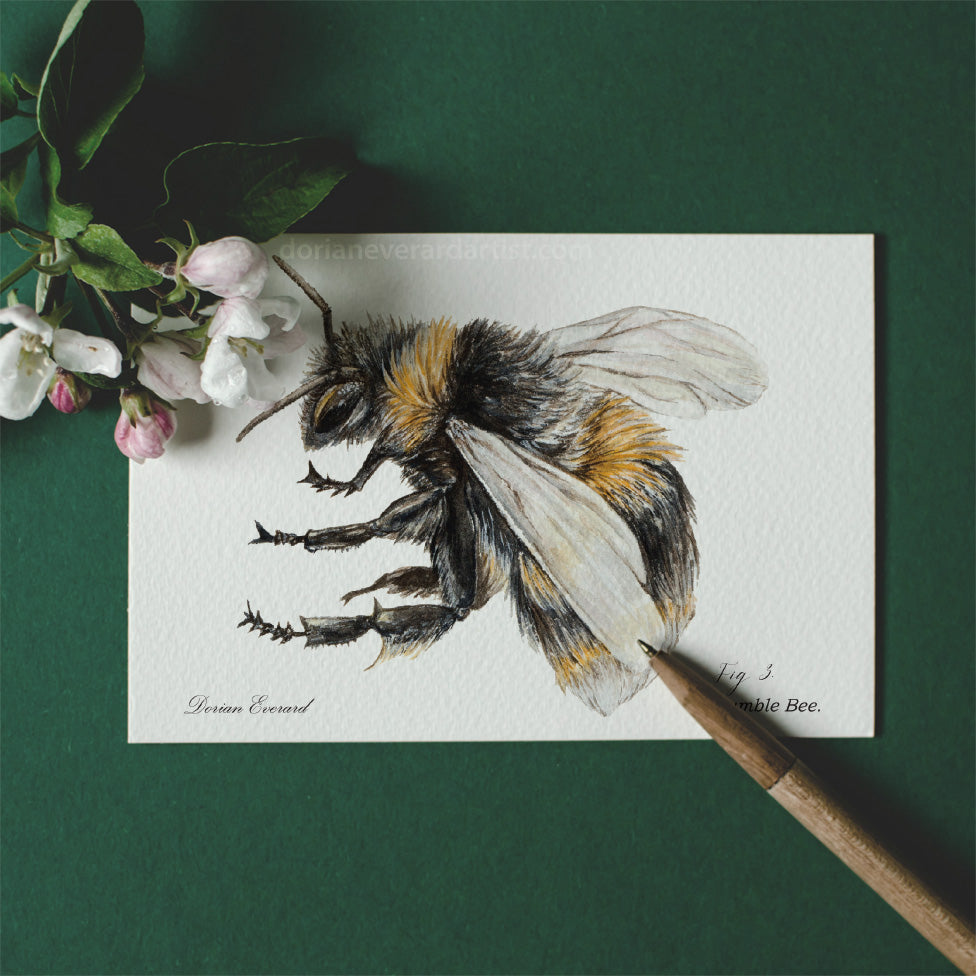 Bumble bee - Mini Print