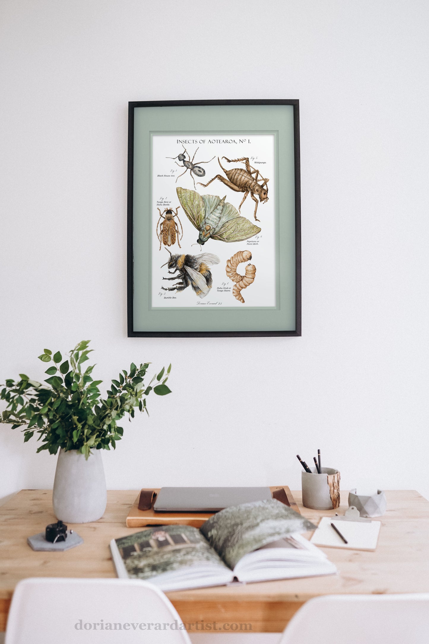 Insects of Aotearoa No 1 - Fine Art Print