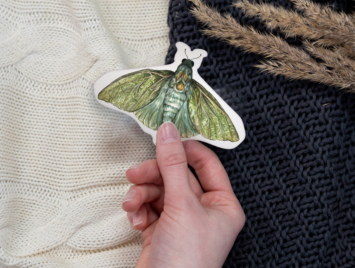 Pūriri Moth - Sticker