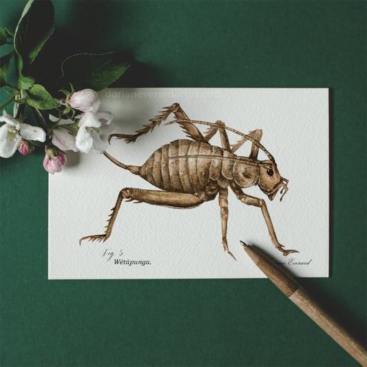 Wētā - Mini Print