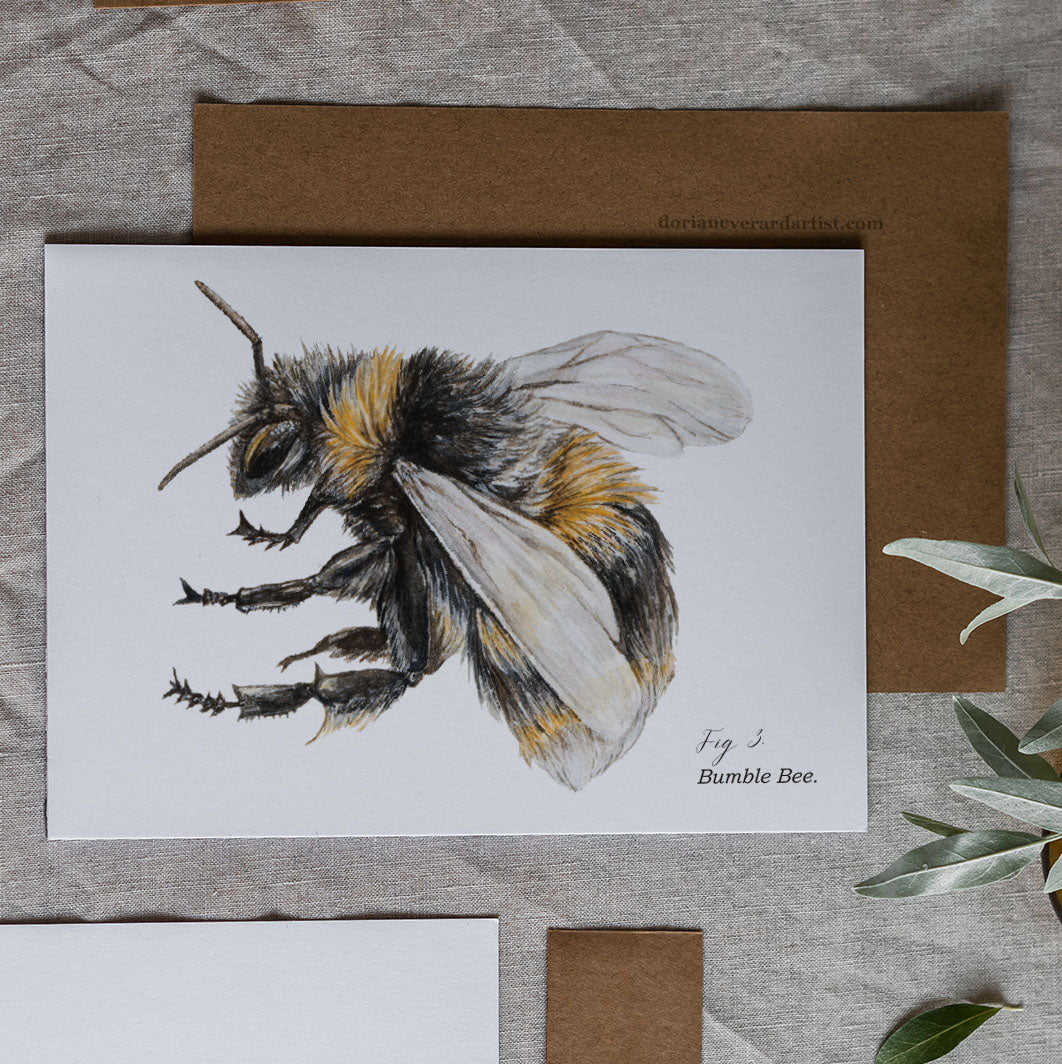 Bumble Bee - Greeting Card