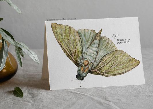 Pūriri Moth - Greeting Card