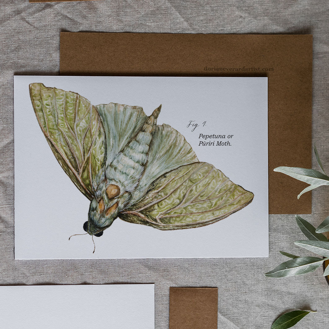 Pūriri Moth - Greeting Card